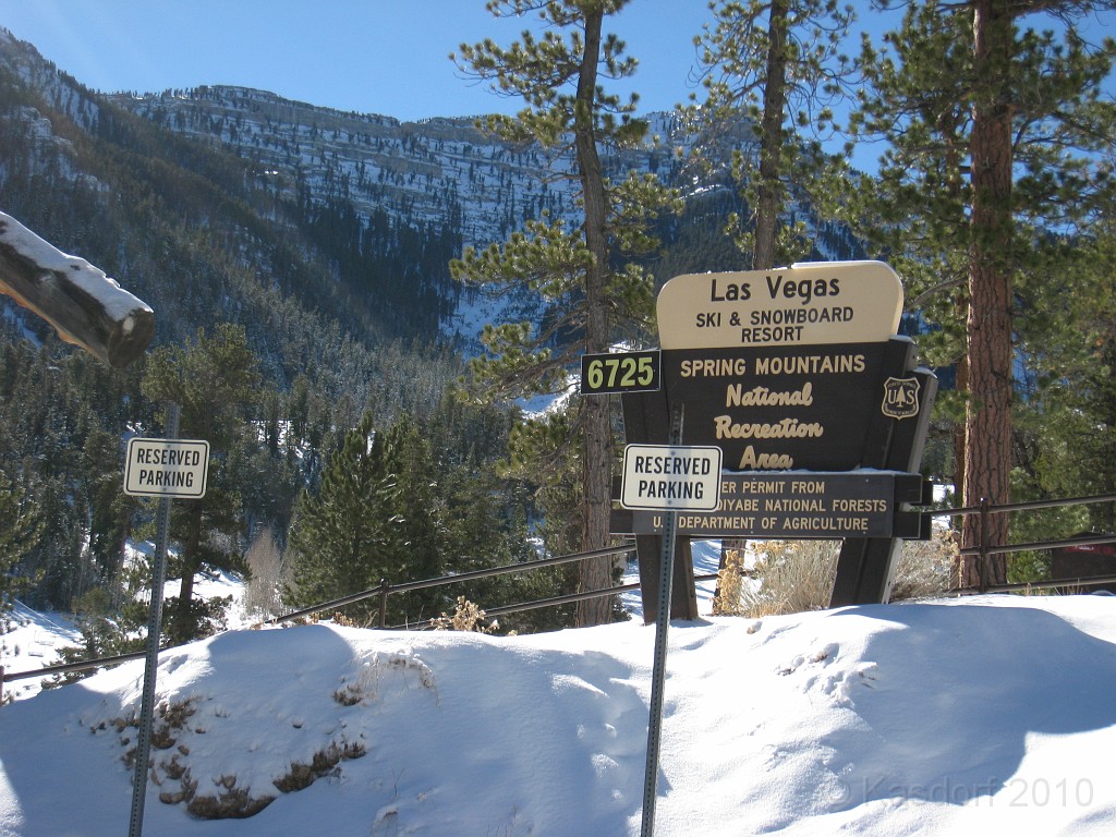 Las Vegas 2010 - Mt Charleston 0431.JPG - The 2010 Las Vegas Fire - Ice and Sweat Tour. Half Marathon, Red Rock Canyon, Casinos, Valley of Fire.... and buffets!